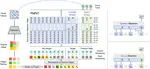 MaPeT: Learning to Mask and Permute Visual Tokens for Vision Transformer Pre-Training